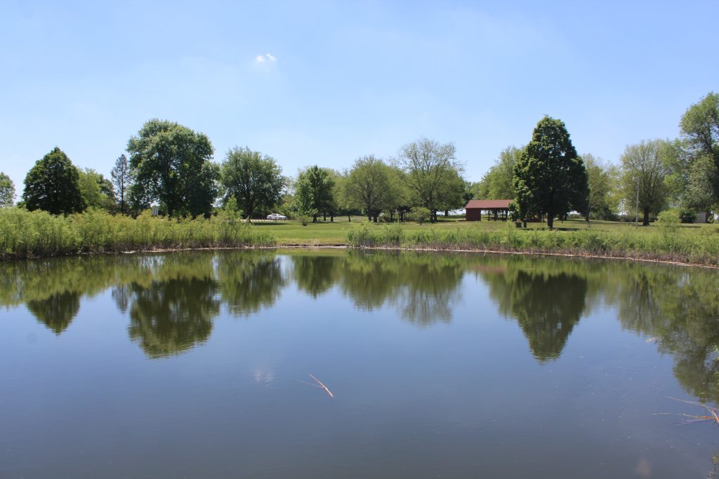 Pond at Sportman's Park